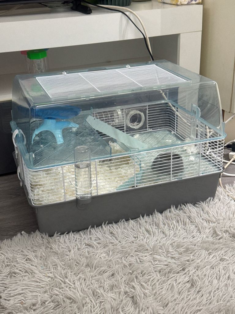 Hamster cage with hamster 