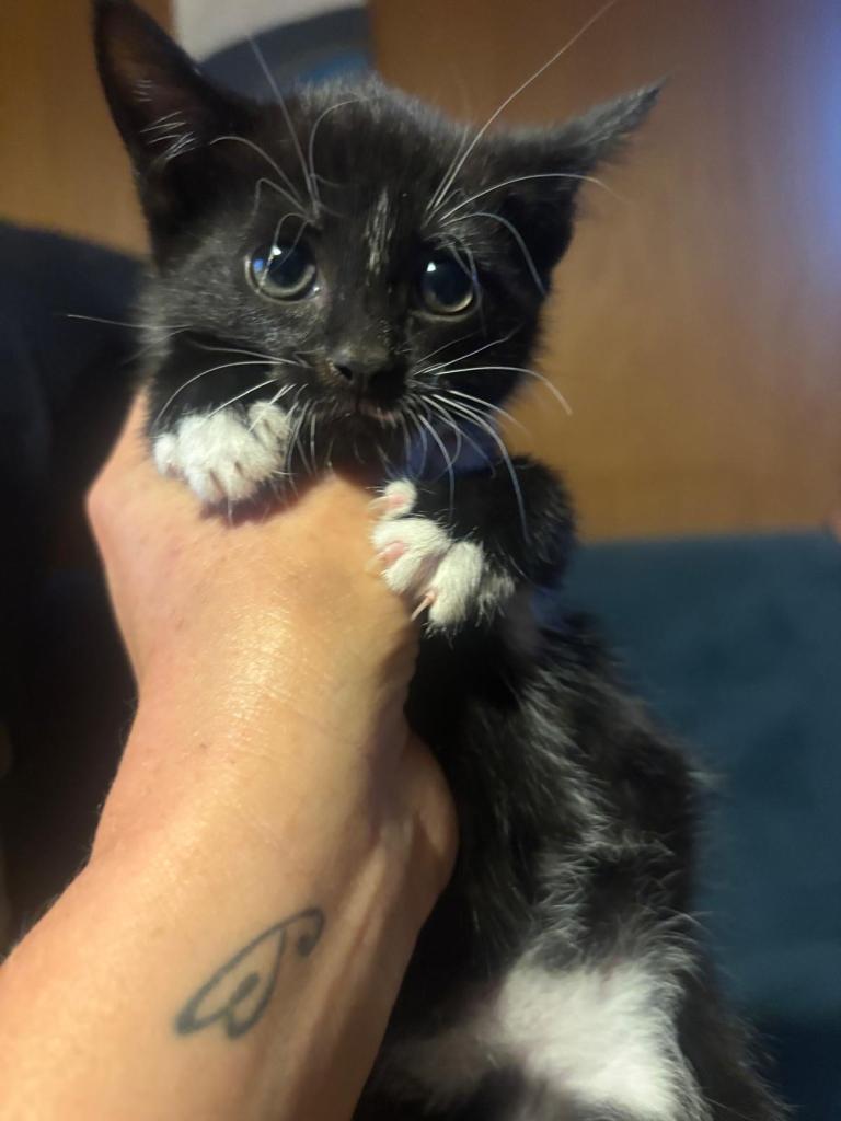 Ready to rehome