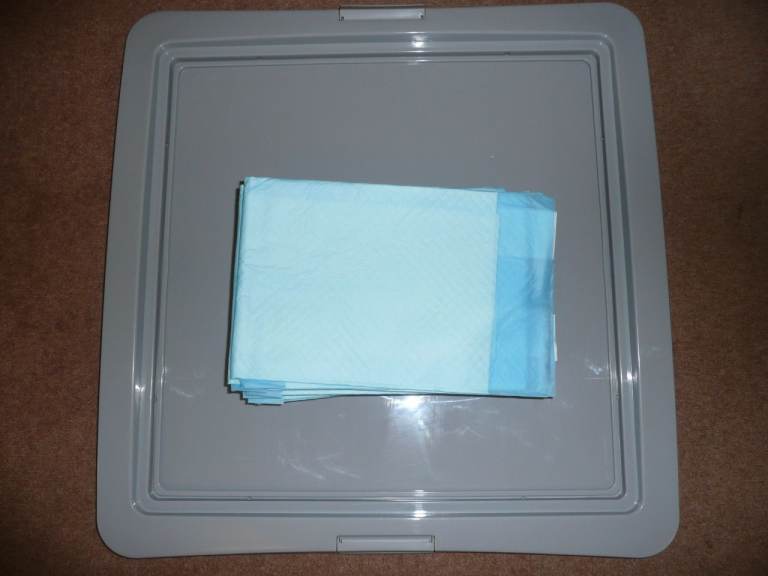 Puppy Pad Tray + Pads