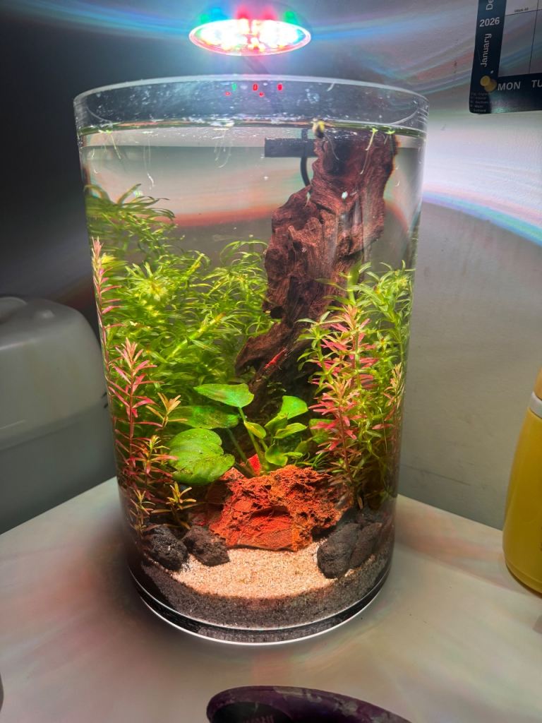 Self sustained eco system 