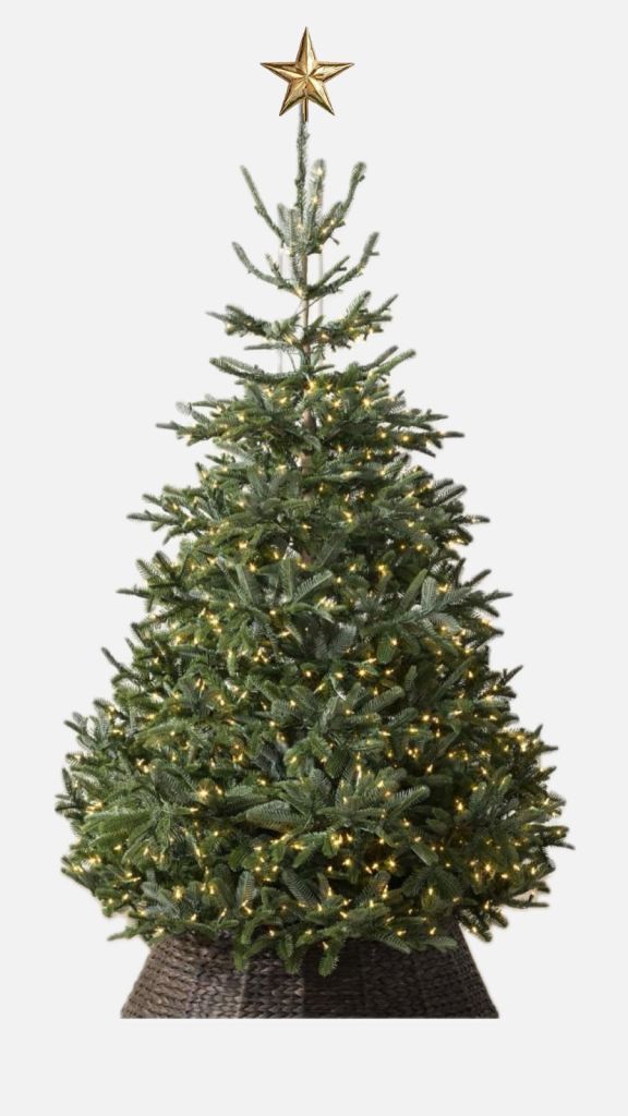 Balsam Hill BH Nordmann Fir 4.5ft Easy Plug Tree with LED Clear Lights