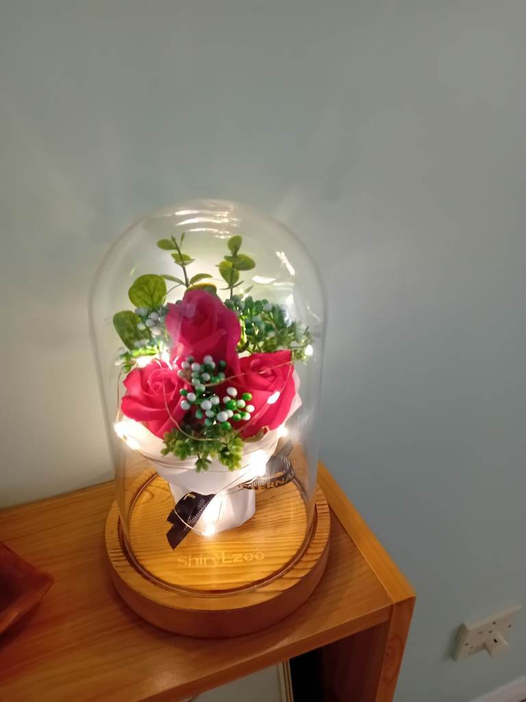 Light-Up Rose Dome Decoration – Good Condition