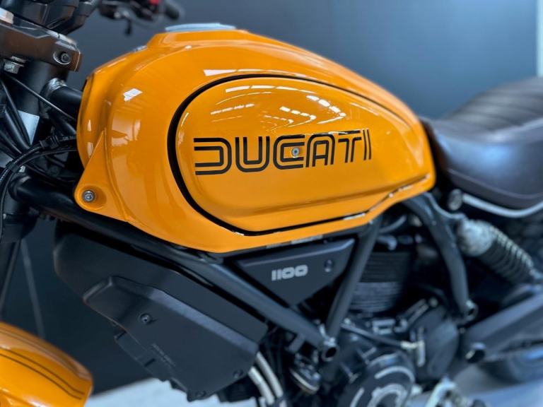 2023/23 Ducati Scrambler 1100 Tribute Pro One Owner Motorcycle 