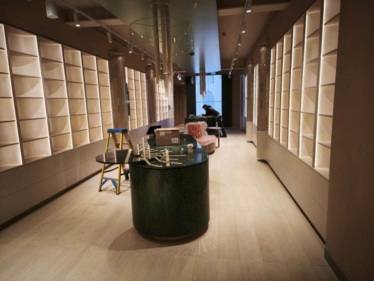 Carpenter looking for work.