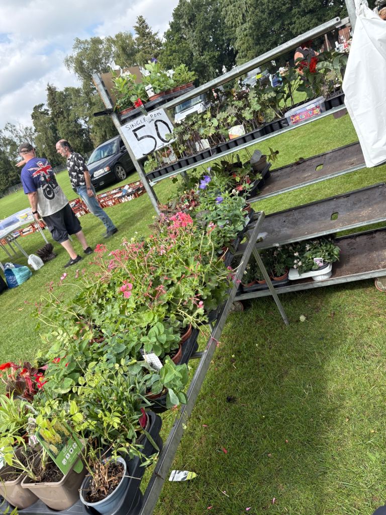 Hemsby and sprowston car boot plants 