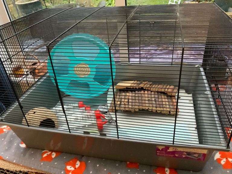 Hamster starter bundle cage wheel etc