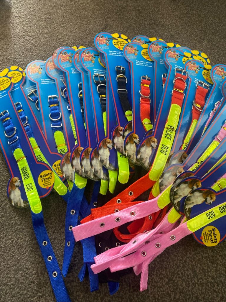 Car boot job lot warehouse clearance 24 dog collars