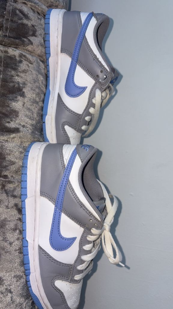 Nike Dunk Low Trainers – Grey and White, Good Condition