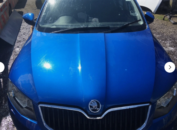 Skoda Octavia 2016 Hatchback 2.0 TDI Blue (LF5W) Bonnet