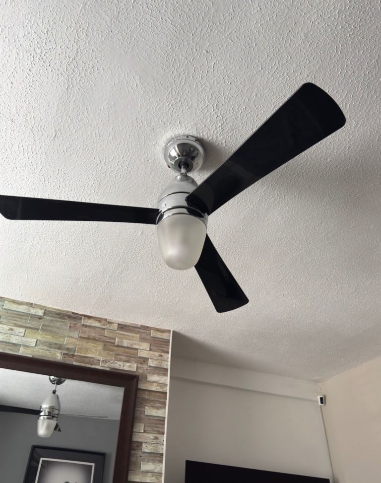 Ceiling Fan Light. Full Working Order w/remote
