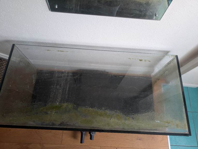 Marine fish tank..