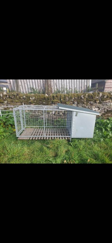Working dog Kennel NZ style