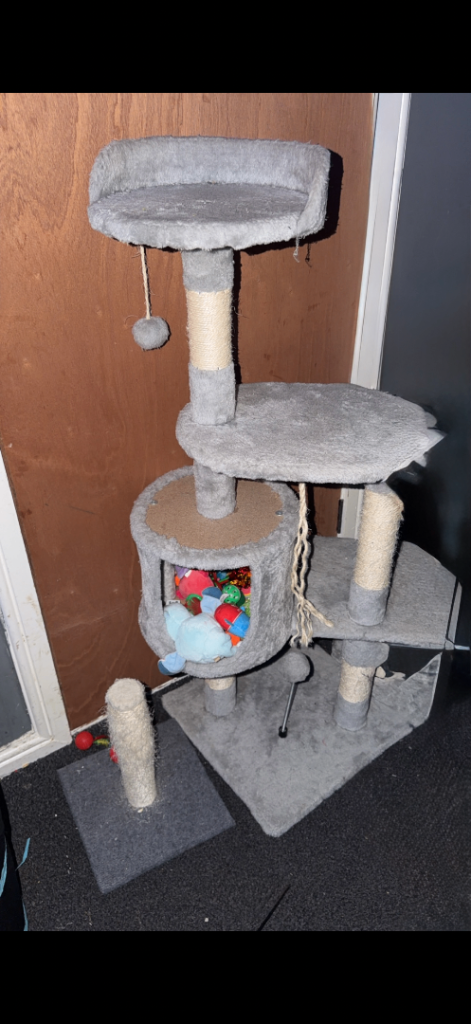 Tall Cat scratching post 