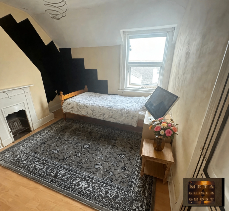  Beautiful Sun-lit room top floor in the heart of portslade High Street £700 all inclusive