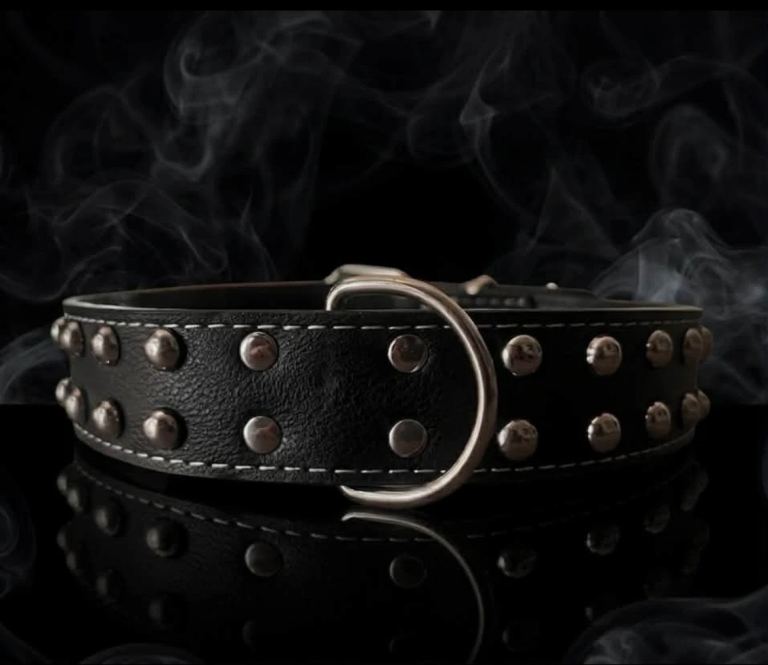 Dog collars 