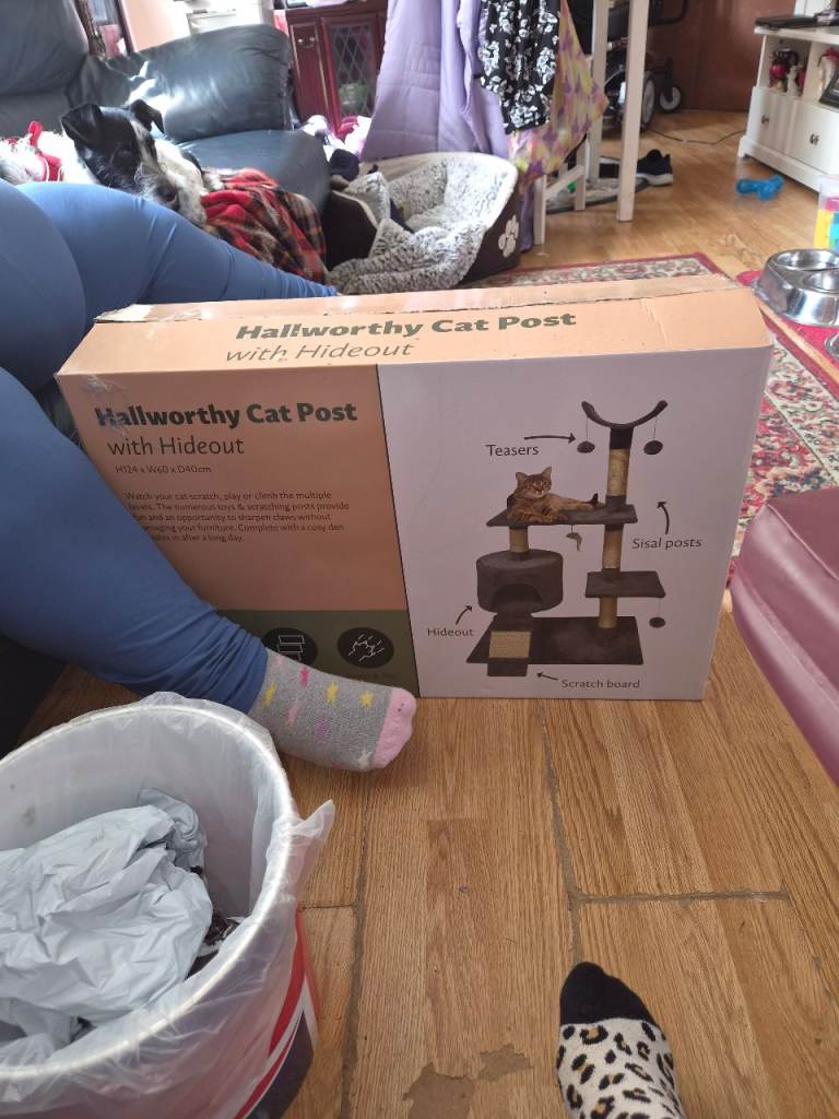 Cat scratcher 