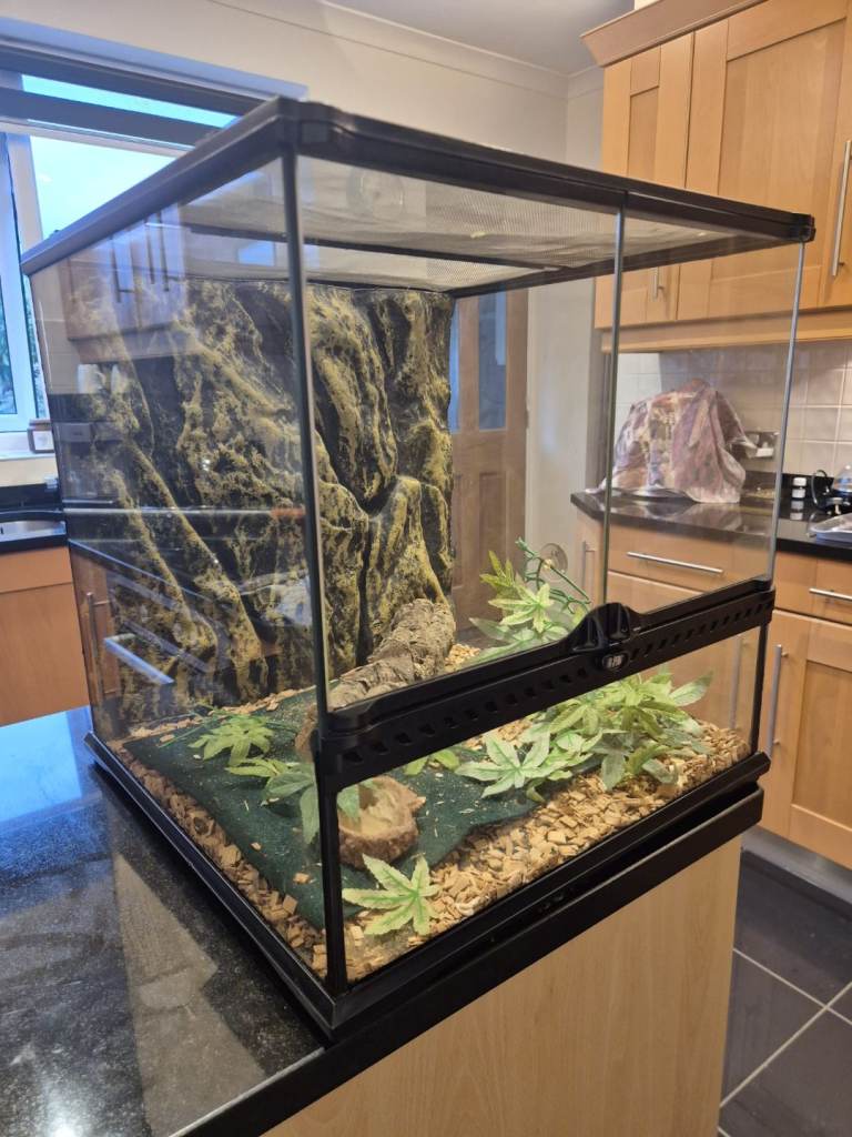 Exo terra terranium