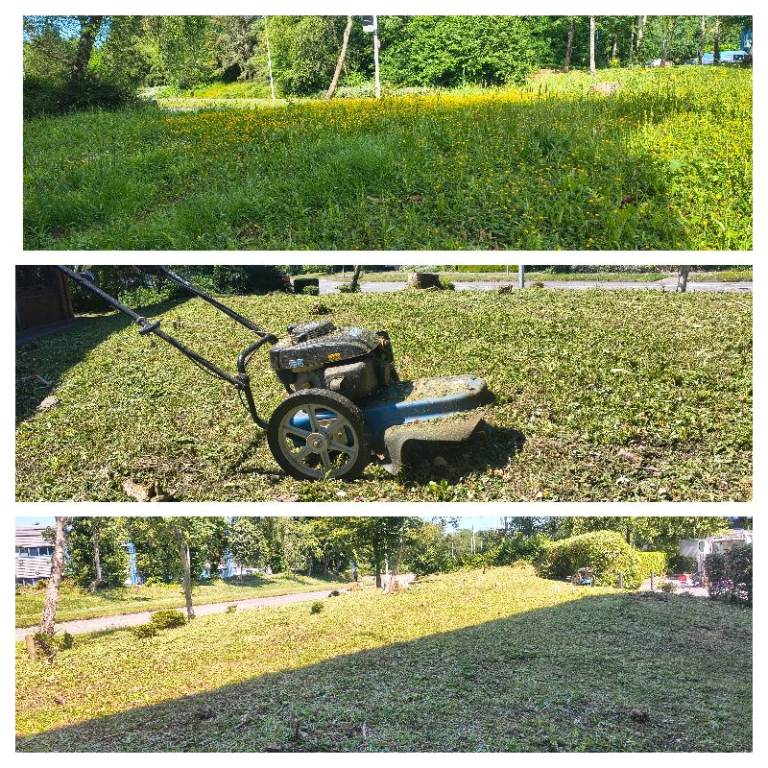 Hyundai IC160cc petrol wheeled Grass trimmer