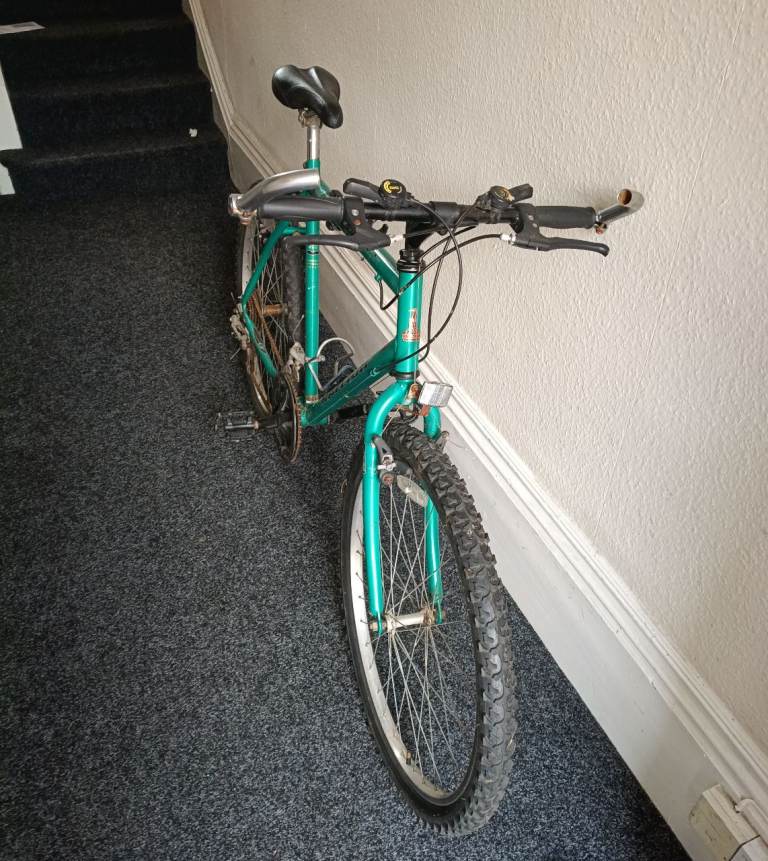 Raleigh Avalanche Endurance | in Hyson Green, Nottinghamshire | Gumtree