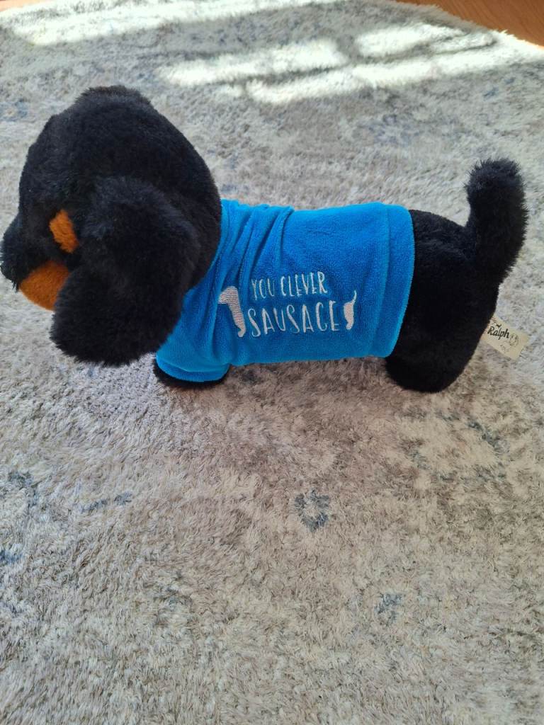 Clever sausage dog soft toy with jumper