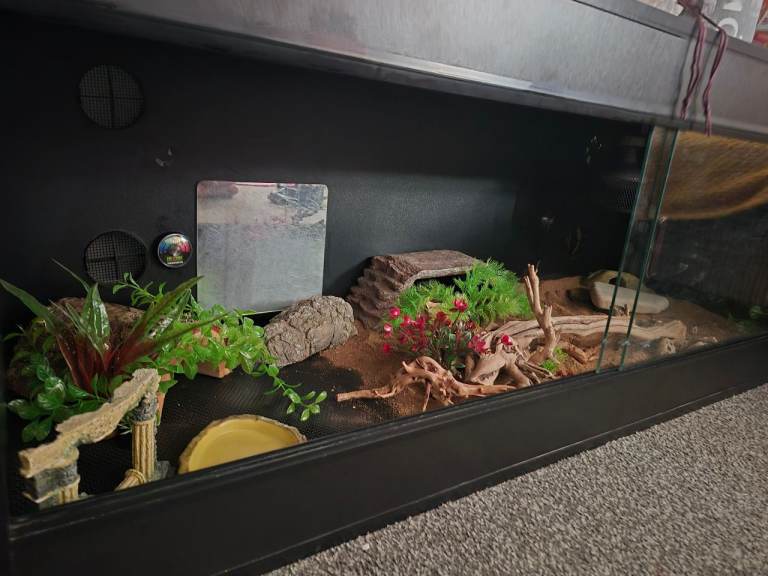 Vivarium plus extras
