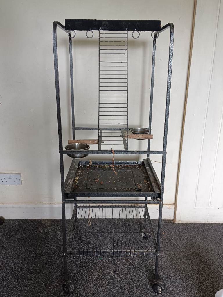 Parrot play stand 