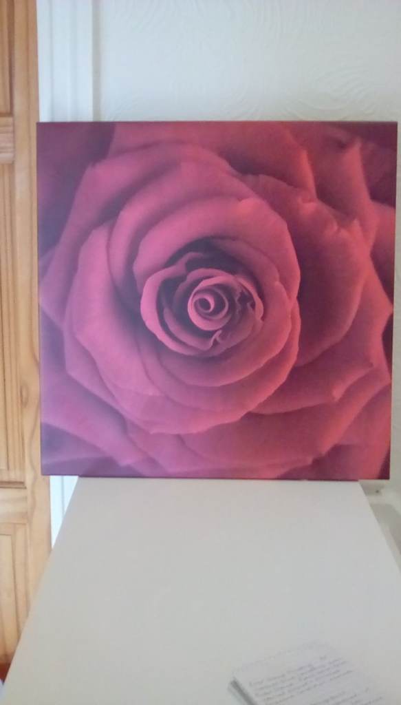 Rose Canvas