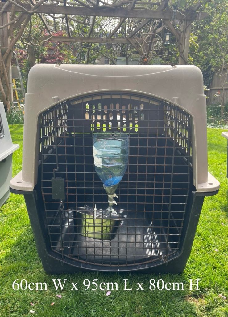IATA / Airline approved pet carrier - X large