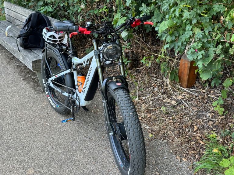 Fat Tyre Dual Motor ebike with full suspension