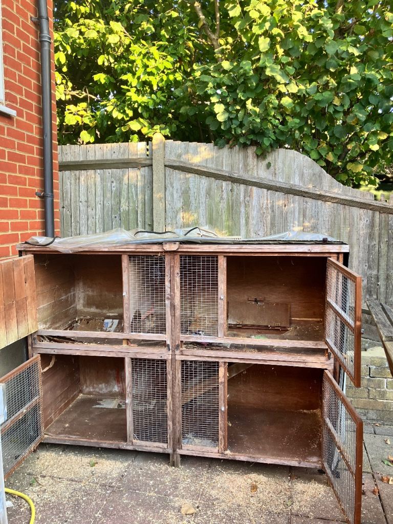 Guinea pig/small rabbit or ferret hutch free for collection 