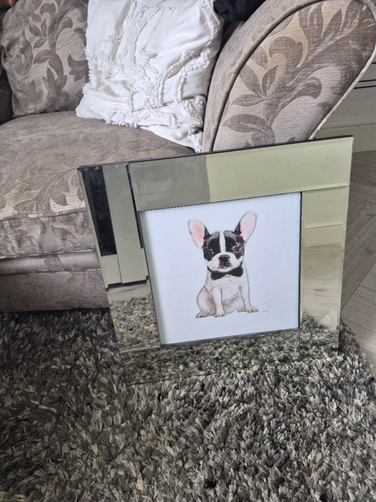 Mirror picture french bulldog