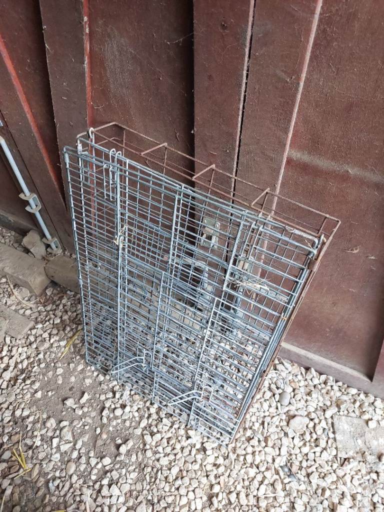 Dog / chicken crate