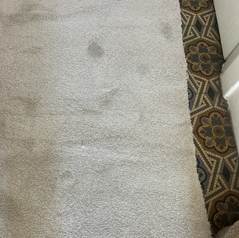 brand new of cut piece of carpet 