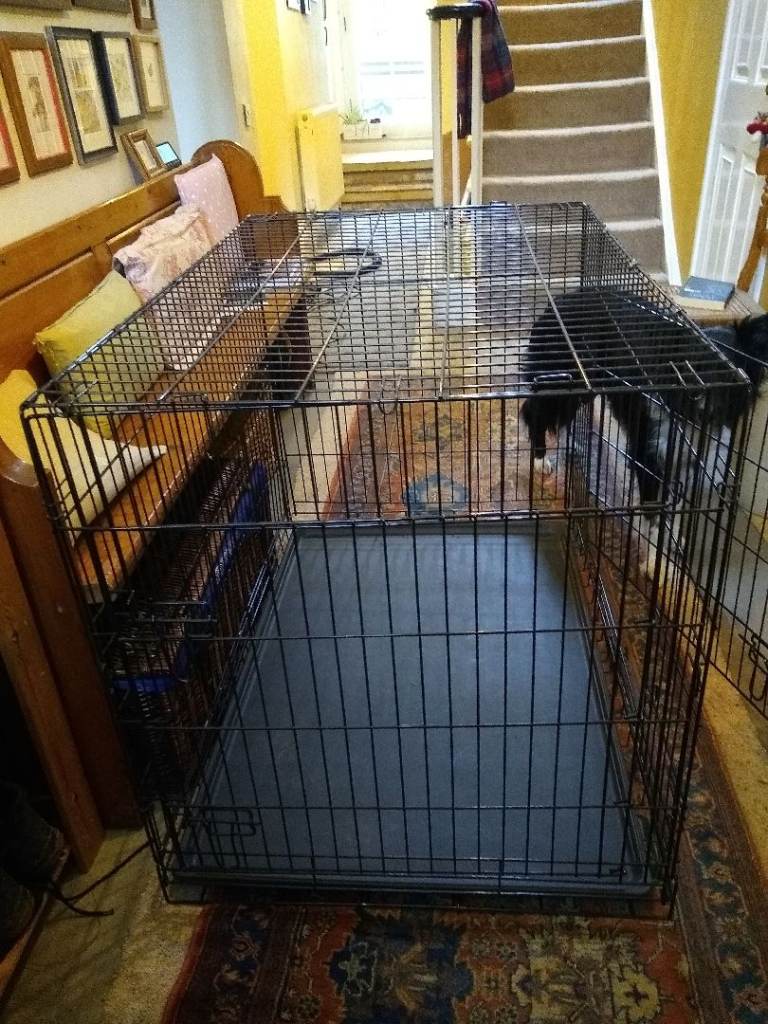 Dog Crate