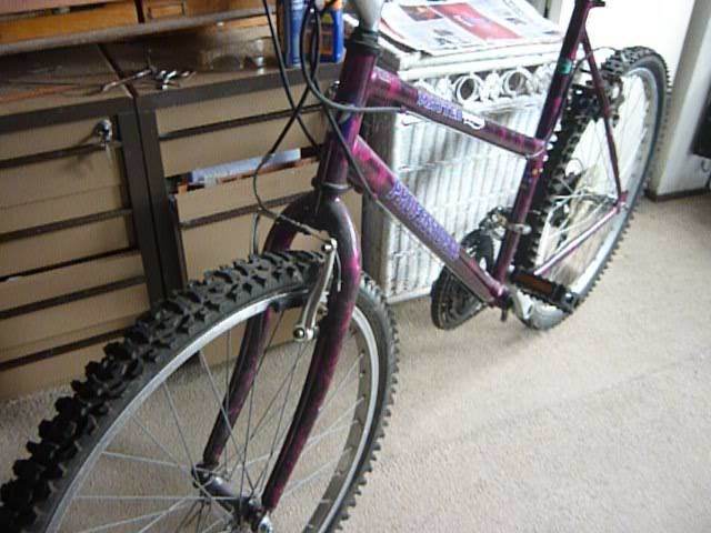 ON/OFF ROAD BICYCLES: One for mum or dad and one for 'your off-spring' .