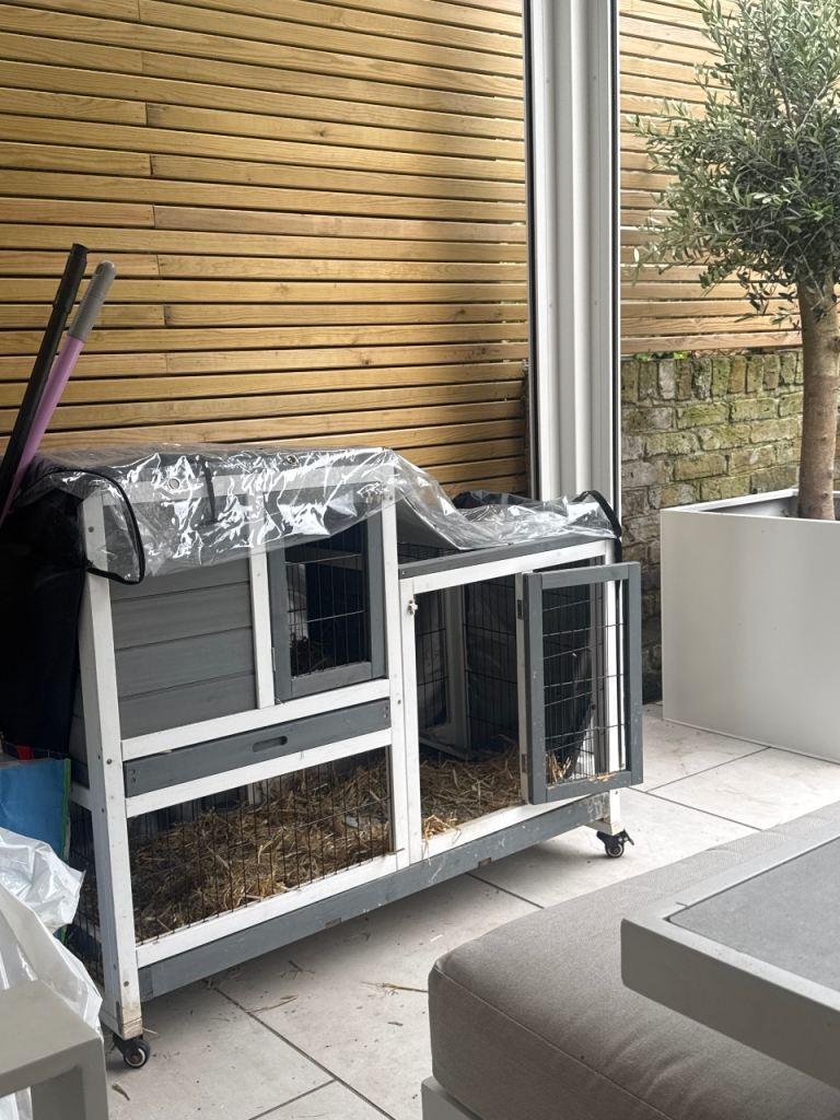 Free rabbit hutch 
