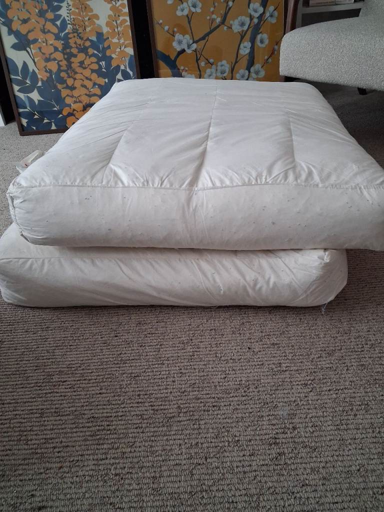 Sofa Cushions without the covers