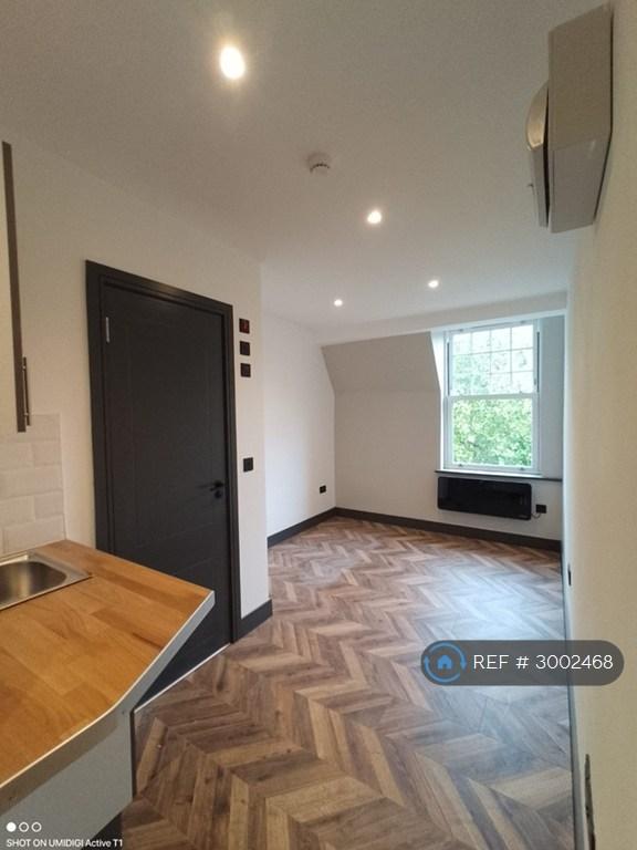 Studio flat in The Boulevard, London, SW17 (#3002468)