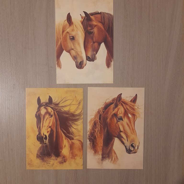 Set of 3 Horse Prints / Posters new 