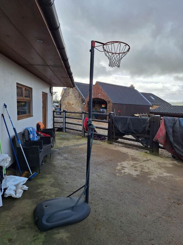 Basket ball hoop and stand