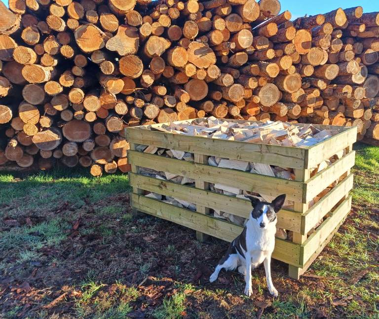 Firewood, Stovewood Logs, Dry and Ready To Burn, Seasoned Softwood 