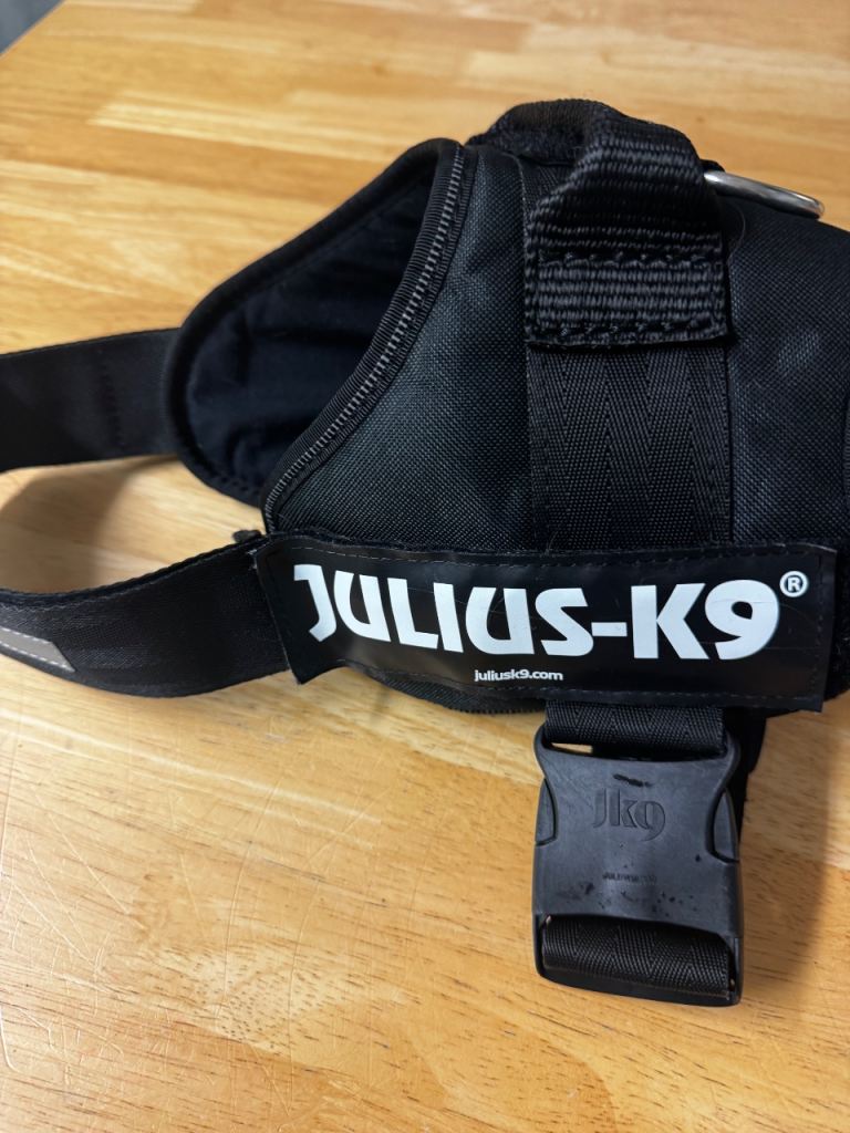 K9 Julius harness