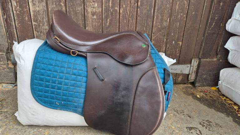 Ideal Saddle, Brown