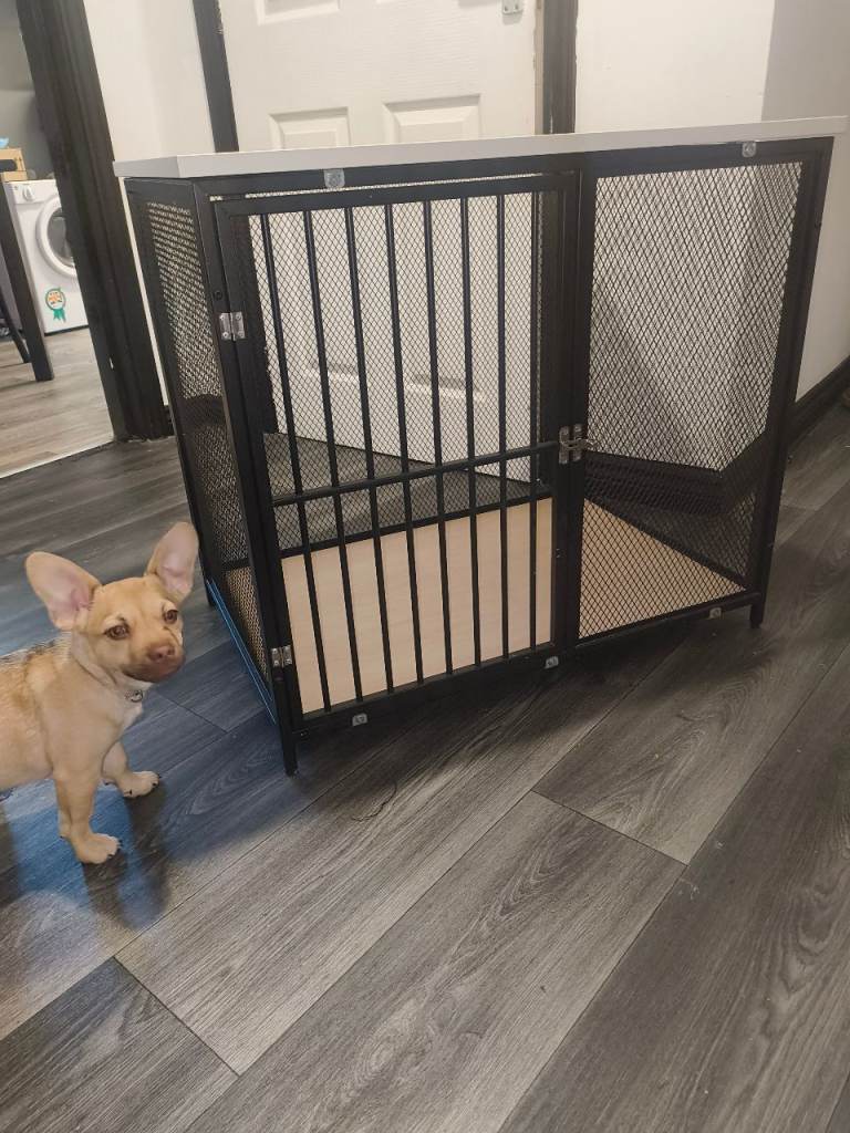 Pet crate used as TV stand or side table 