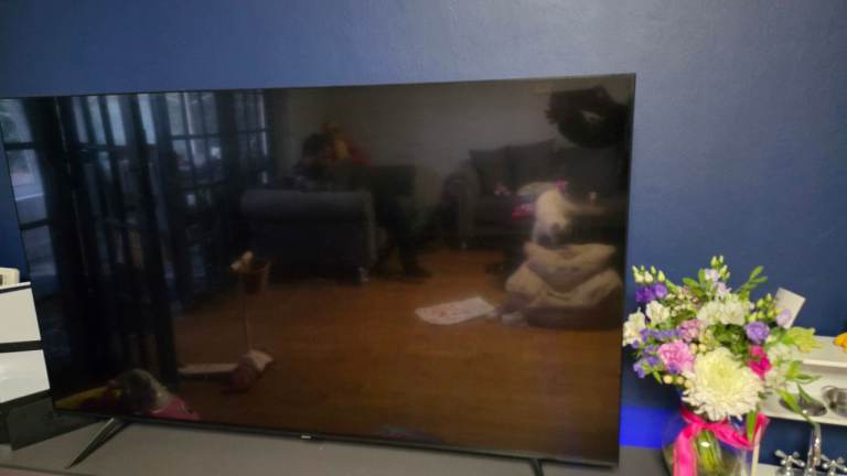 Samsung 65" TV 