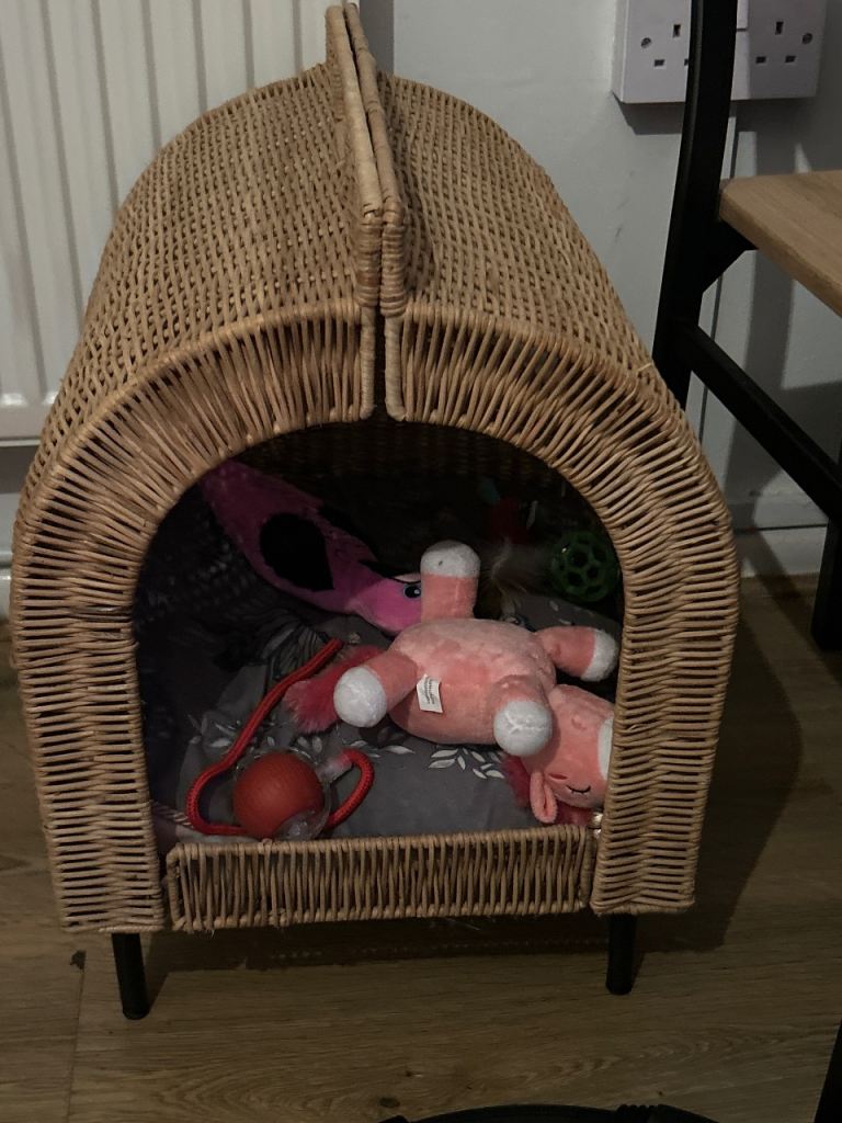 Cat bed 