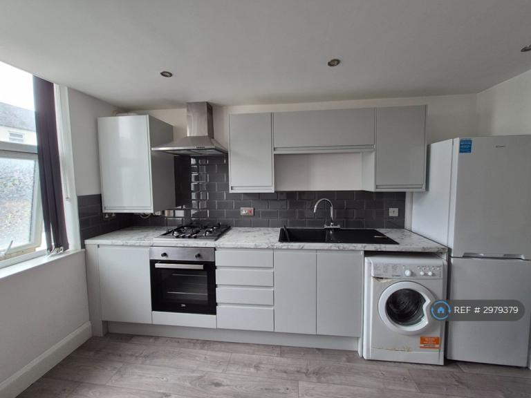 1 bedroom flat in Lower Cathedral Road, Cardiff, CF11 (1 bed) (#2979379)