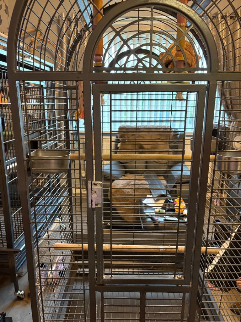 Porrot cage for sale
