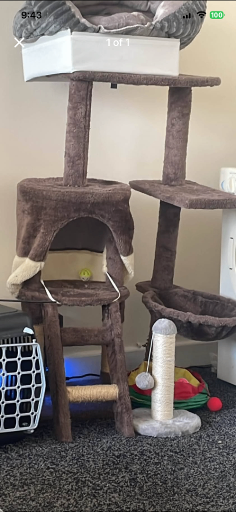 cat tree, grey scratch post and a pink scratch post