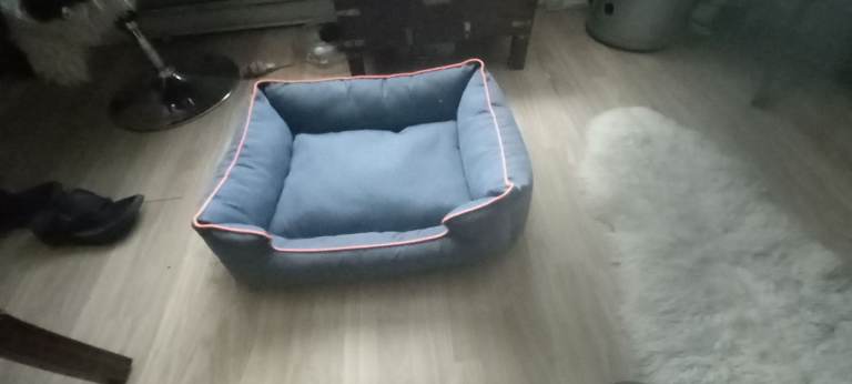 Dog cat bed